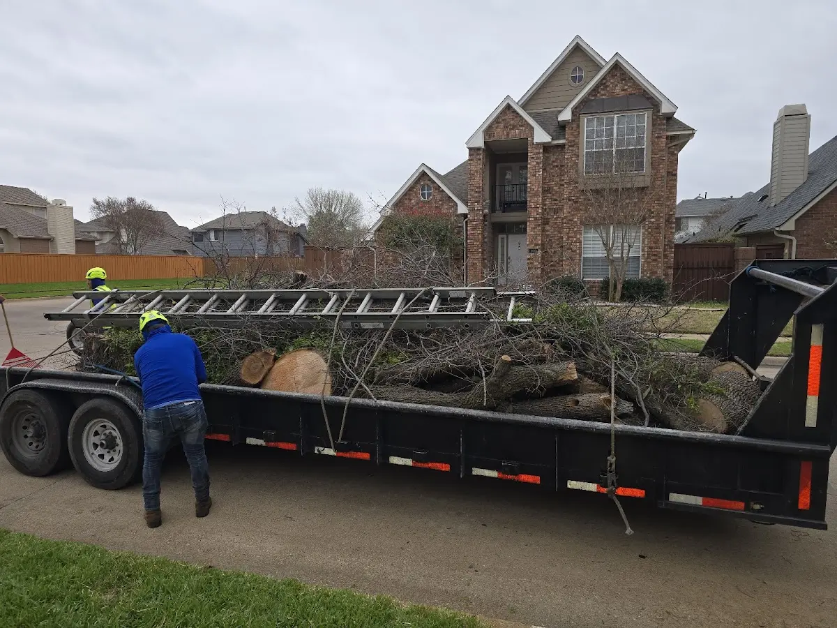Expert Lot Clearing with proper safety equipment in Denison
